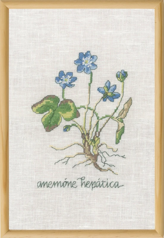 Broderikit Blå Anemone R5799 20 x 30 cm