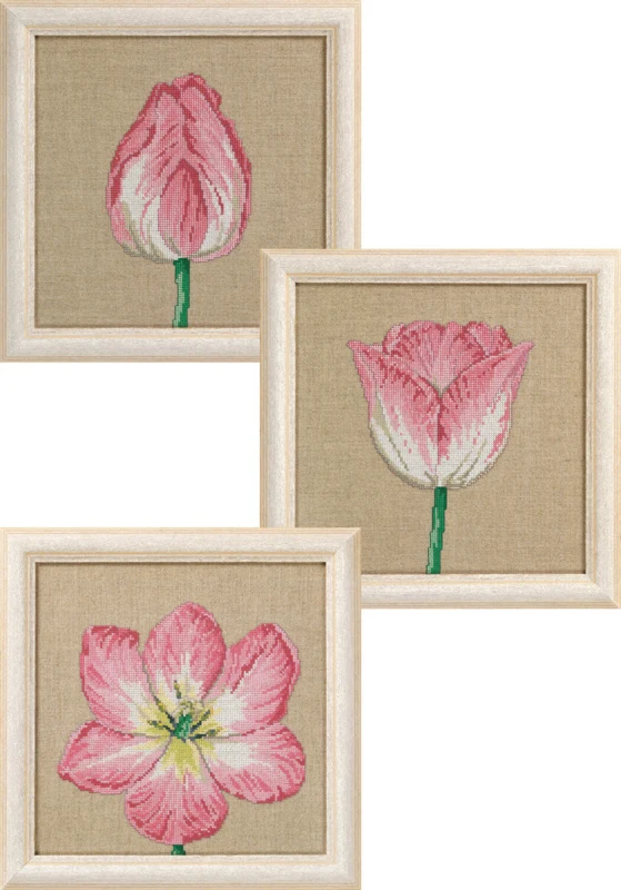 Broderikit Tulipaner i faser 3 x 25 x 25 cm
