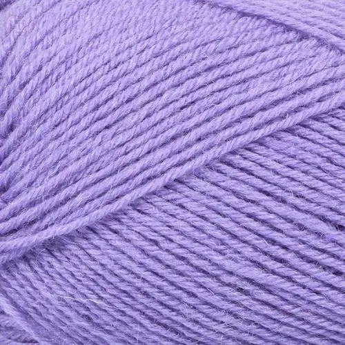 Mayflower 1 Class 8 Lupin