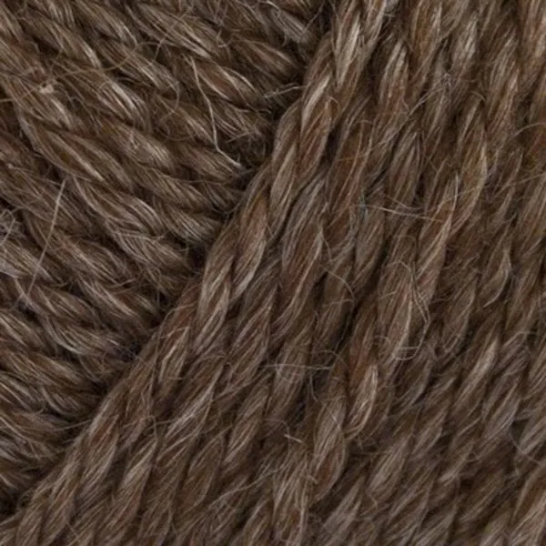 Onion No. 6 603 Brun