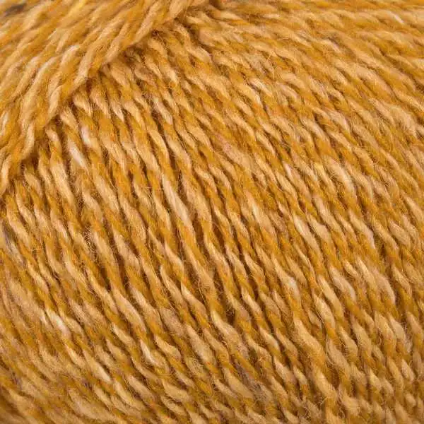 Mayflower Birmingham