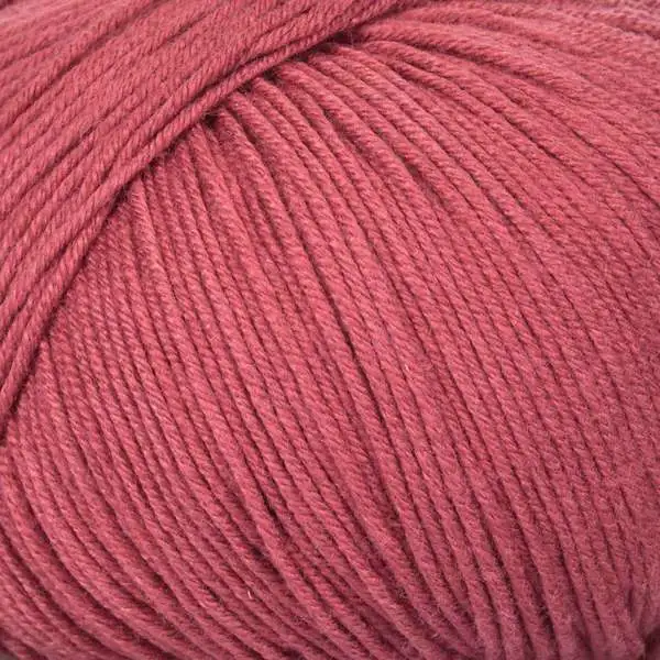 Mayflower Alliance Fine