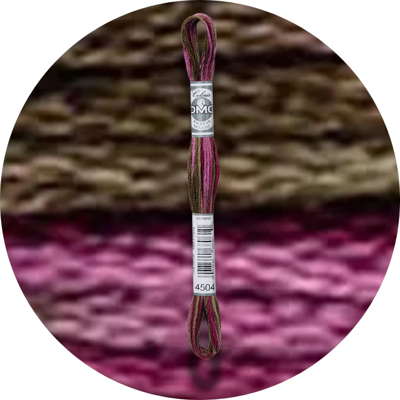 DMC Mouliné Coloris Broderigarn 4504