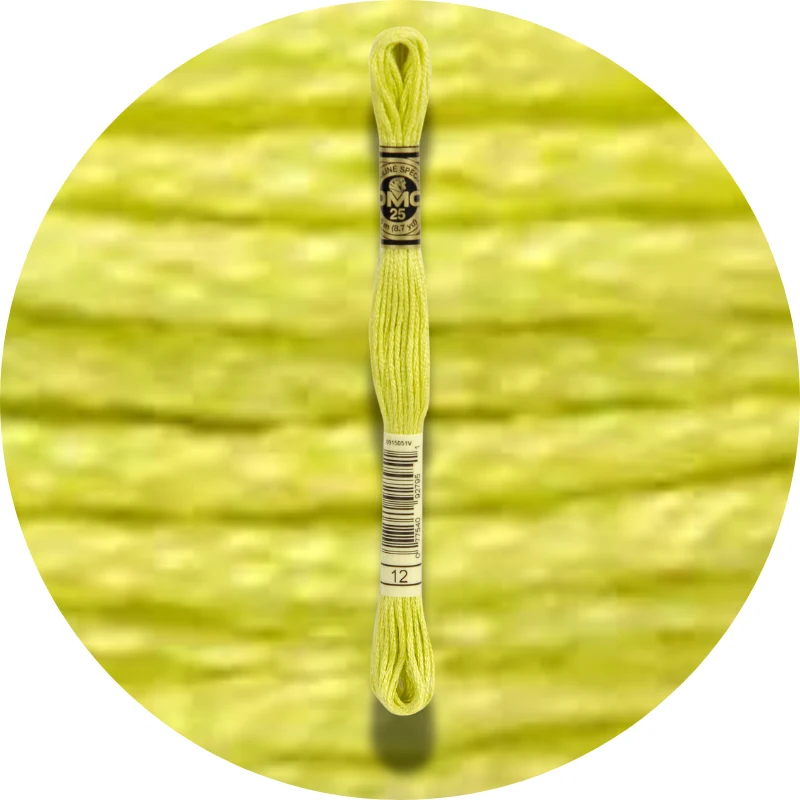 DMC Mouliné Spécial 25 Broderigarn 0012