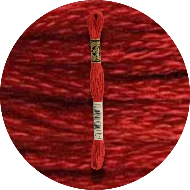 DMC Mouliné Spécial 25 Broderigarn 0817