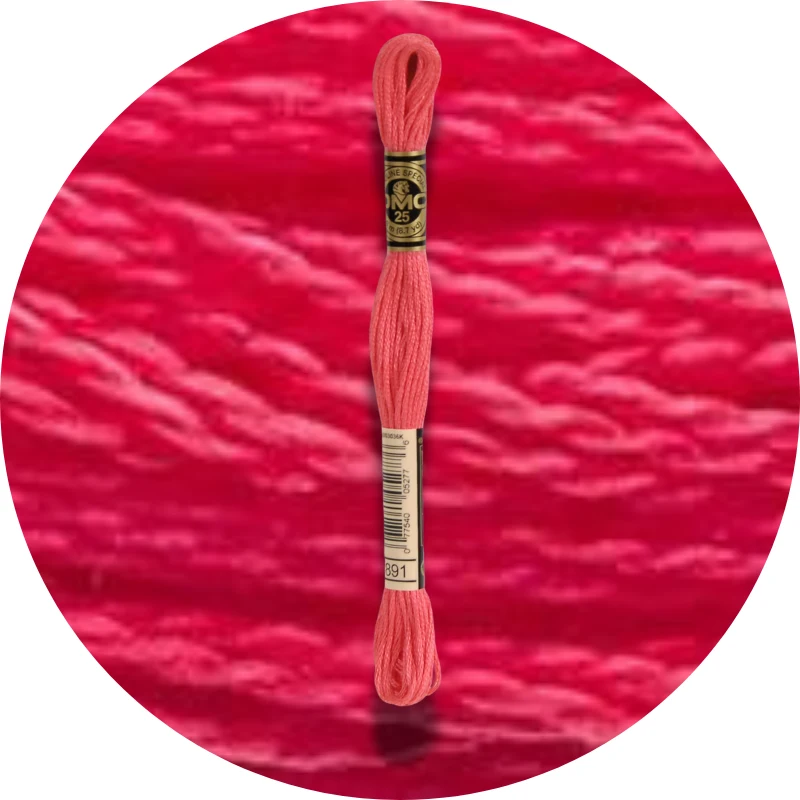 DMC Mouliné Spécial 25 Broderigarn 0891
