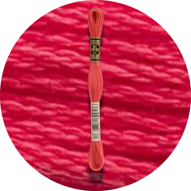 DMC Mouliné Spécial 25 Broderigarn 3801