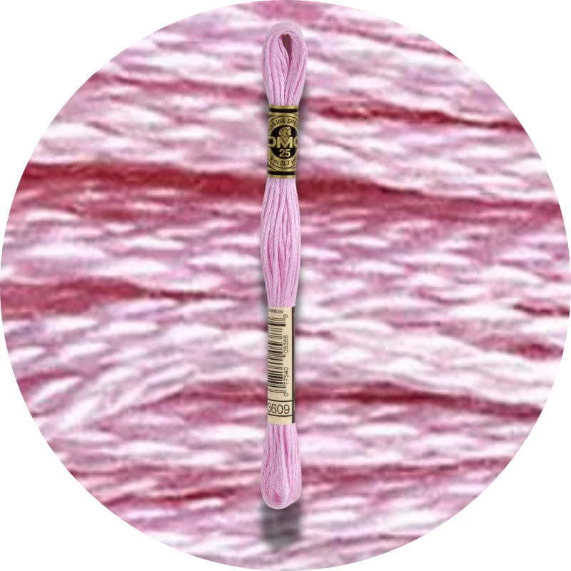 DMC Mouliné Spécial 25 Broderigarn 3609