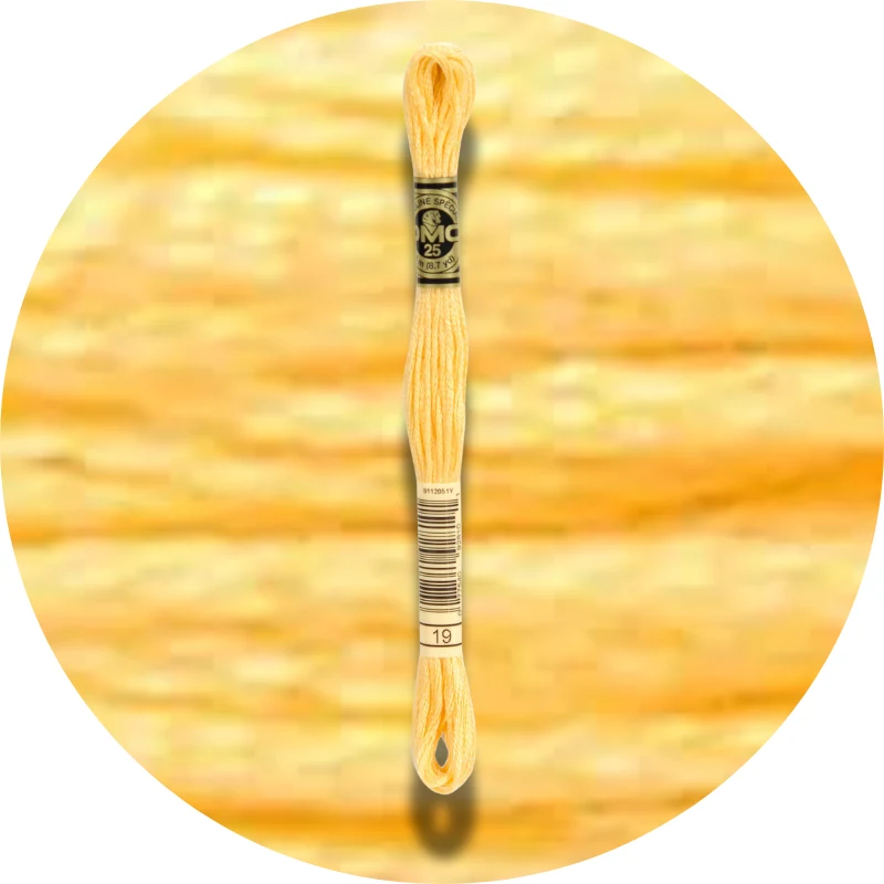 DMC Mouliné Spécial 25 Broderigarn 0019