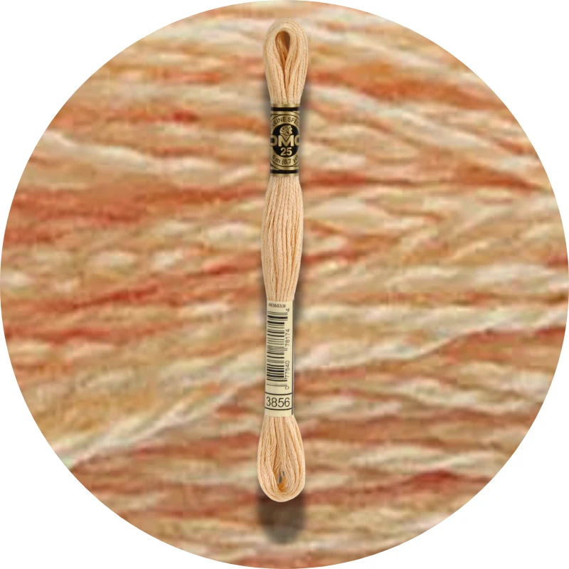 DMC Mouliné Spécial 25 Broderigarn 3856