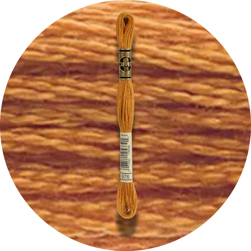 DMC Mouliné Spécial 25 Broderigarn 0976