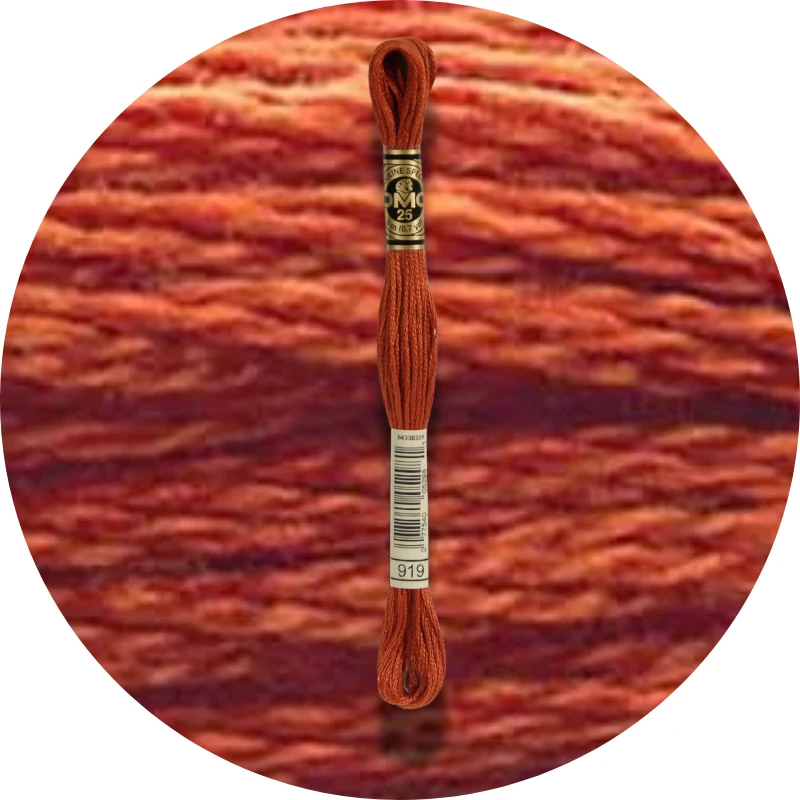 DMC Mouliné Spécial 25 Broderigarn 0919