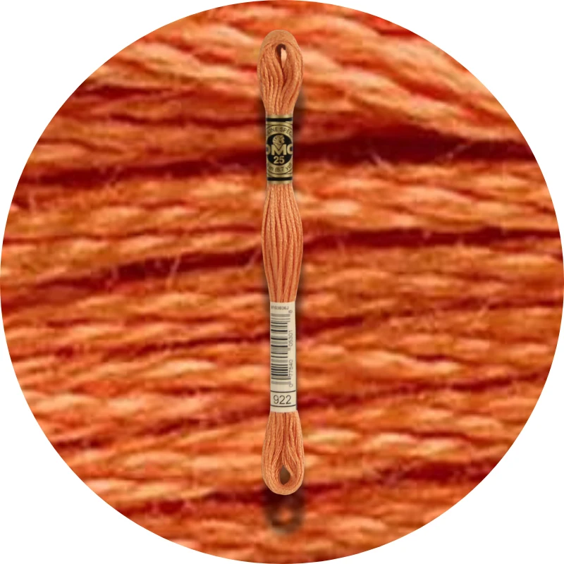 DMC Mouliné Spécial 25 Broderigarn 0922