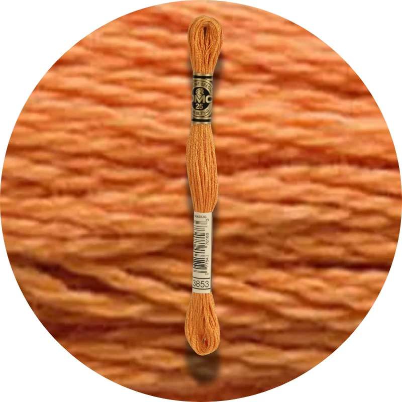 DMC Mouliné Spécial 25 Broderigarn 3853