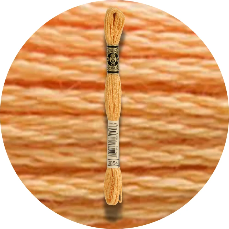 DMC Mouliné Spécial 25 Broderigarn 3854