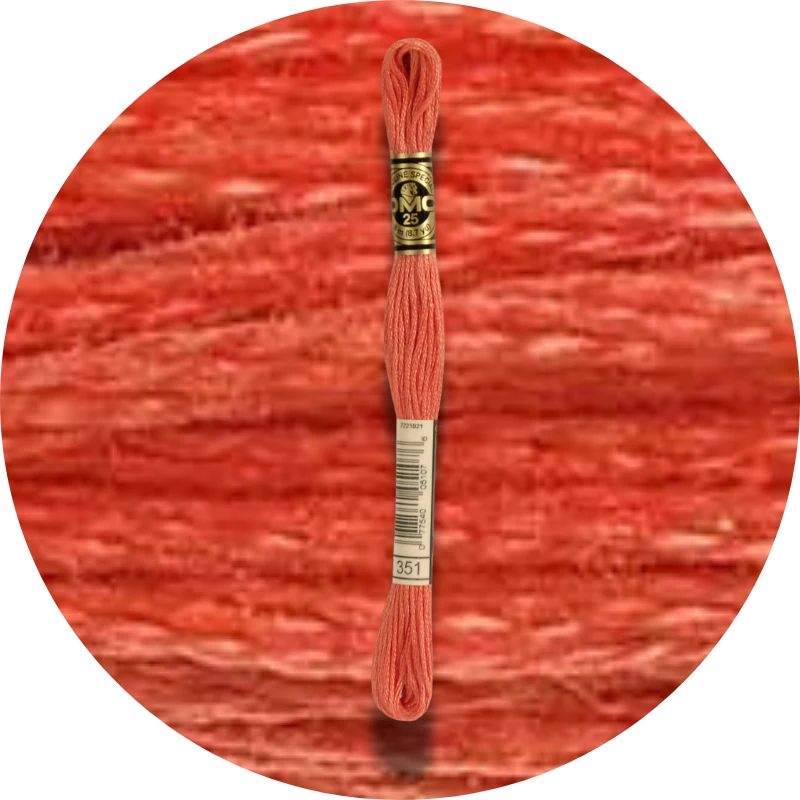 DMC Mouliné Spécial 25 Broderigarn 0351