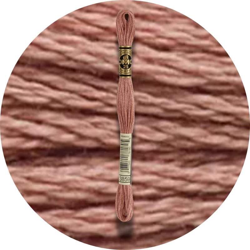 DMC Mouliné Spécial 25 Broderigarn 3859