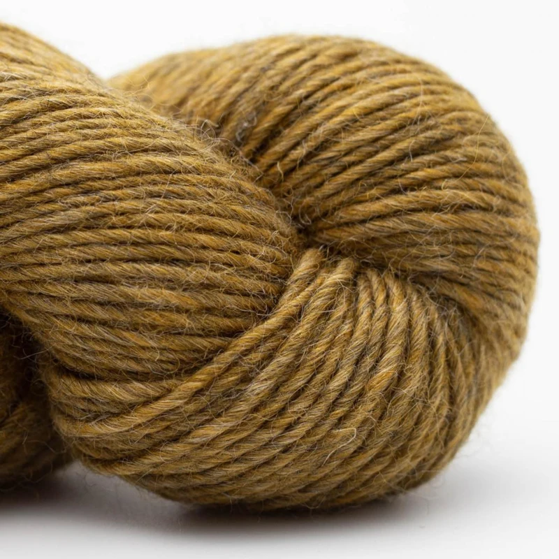 Erika Knight Wild Wool 704 Pootle