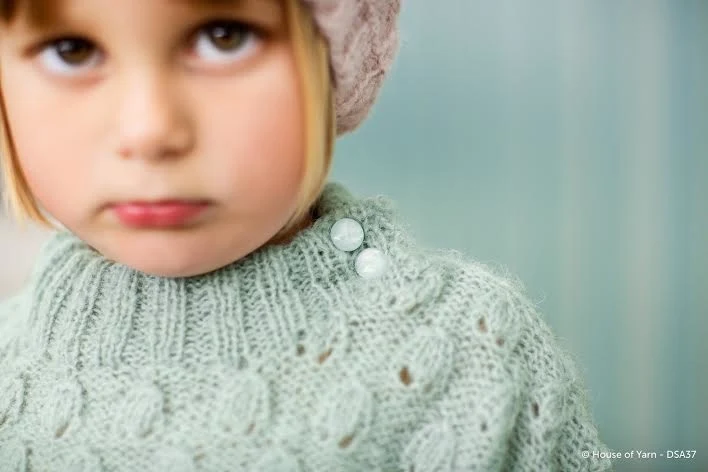 DSA37-11 Sweater og hue