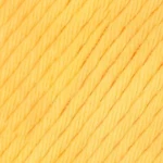 YAC Epic 8/8 014 Sunflower