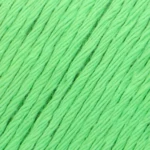 YAC Epic 8/8 085 Pesto