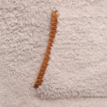 87100 Sweater Robin - Little One's & Tweens