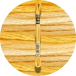 DMC Mouliné Spécial 25 Broderigarn, Farveskiftende 0090