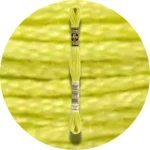 DMC Mouliné Spécial 25 Broderigarn 0012