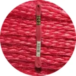 DMC Mouliné Spécial 25 Broderigarn 0309