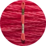 DMC Mouliné Spécial 25 Broderigarn 3705