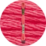 DMC Mouliné Spécial 25 Broderigarn 0892