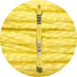 DMC Mouliné Spécial 25 Broderigarn 0017