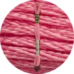 DMC Mouliné Spécial 25 Broderigarn 3833