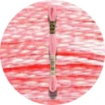 DMC Mouliné Spécial 25 Broderigarn 0894