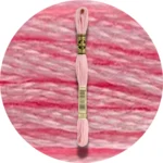 DMC Mouliné Spécial 25 Broderigarn 0151