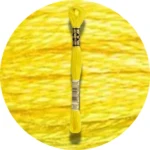 DMC Mouliné Spécial 25 Broderigarn 0307