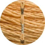 DMC Mouliné Spécial 25 Broderigarn 3827