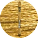 DMC Mouliné Spécial 25 Broderigarn 0729