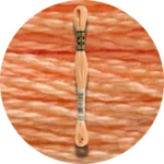 DMC Mouliné Spécial 25 Broderigarn 3825