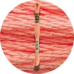 DMC Mouliné Spécial 25 Broderigarn 3341