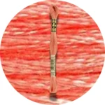 DMC Mouliné Spécial 25 Broderigarn 0352