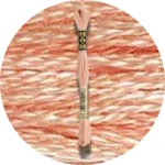 DMC Mouliné Spécial 25 Broderigarn 0754