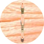 DMC Mouliné Spécial 25 Broderigarn 0020