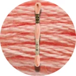 DMC Mouliné Spécial 25 Broderigarn 3824