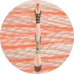 DMC Mouliné Spécial 25 Broderigarn 0967