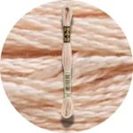 DMC Mouliné Spécial 25 Broderigarn 0950