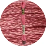 DMC Mouliné Spécial 25 Broderigarn 0335