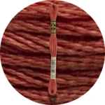 DMC Mouliné Spécial 25 Broderigarn 3830